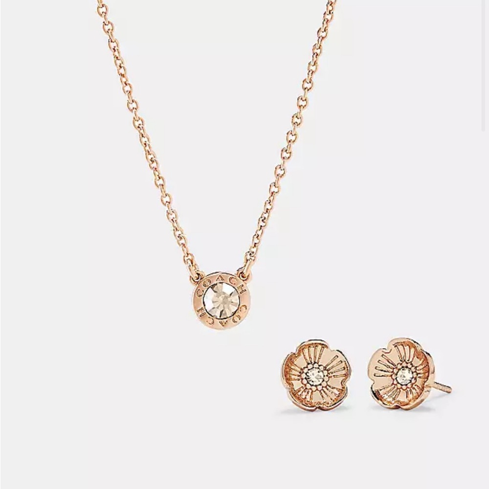 NEW Coach tea rose earrings and necklace set